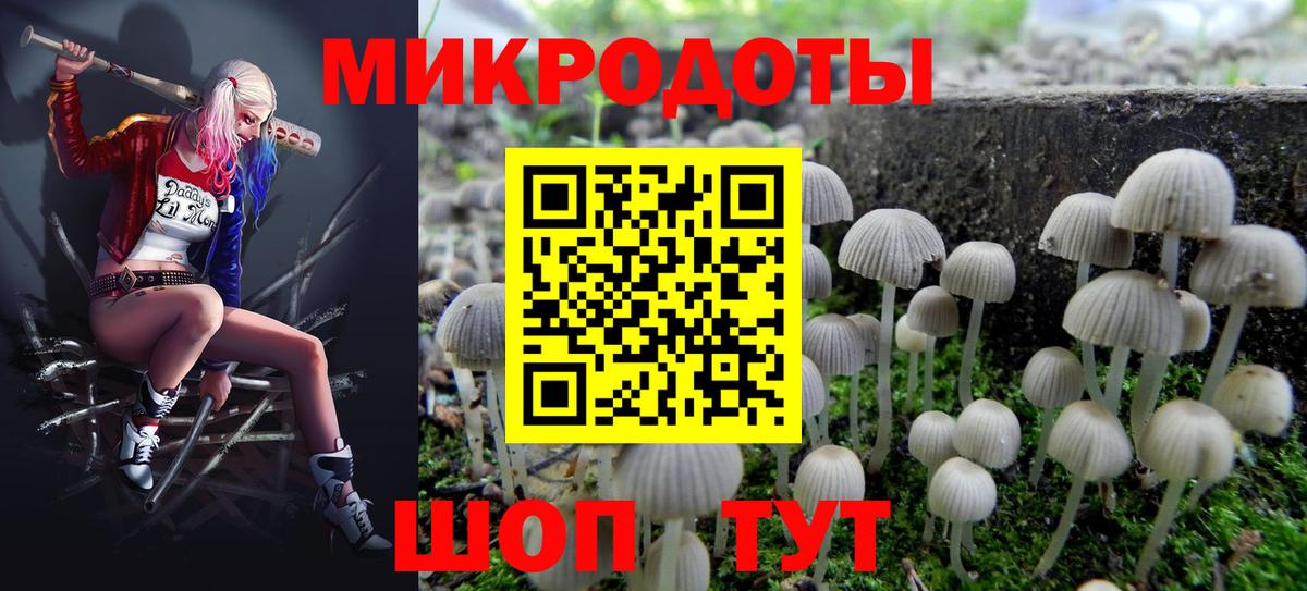 Псилоцибиновые грибы Psilocybe Мценск