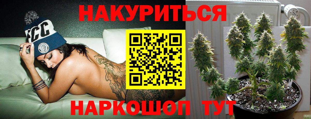 Бошки Шишки гибрид Мценск